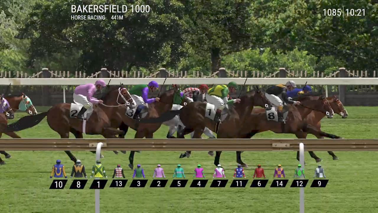 Dashing Derby: horses and jockeys racing on turf, with the runner silks and numbers listed below the track.