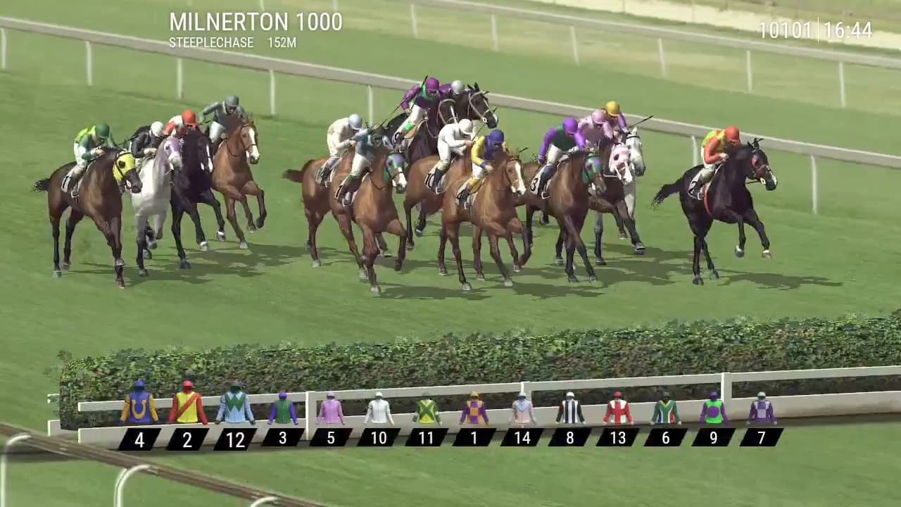 Steeple Chase: a field of horses jumping on turf, with the runner silks and numbers listed below the track.